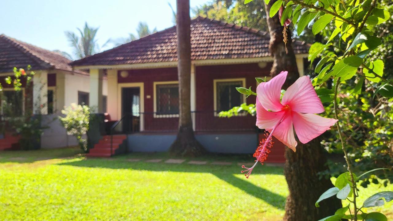 ואגאטור Garden Villa מראה חיצוני תמונה