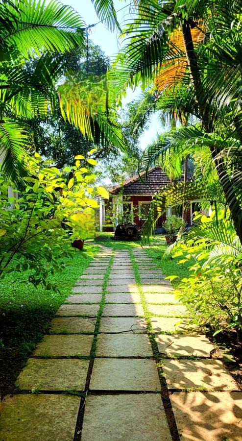 ואגאטור Garden Villa מראה חיצוני תמונה